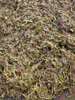 အရီးတောင်း_လက်ဖက်ပေါင်းကြော်