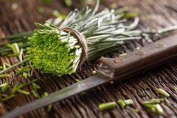Chives 