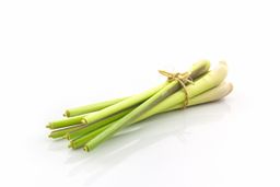 Lemongrass