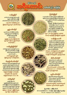 အရီးတောင်း_Premium လက်ကောက်ညွန့် လက်ဖက်