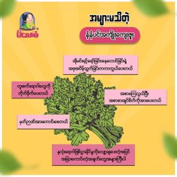 မိလေးစံ_မုန့်ဟင်းခါး အနှစ်ထုတ်