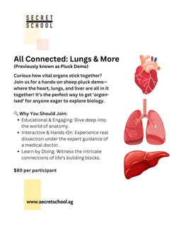 Private Group: All Connected: Lungs and More Adults & Students (11yo and up)