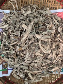 ခိုင်_သရက်သီးသနပ်