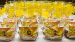 ခိုင်_သရက်သီးသနပ်