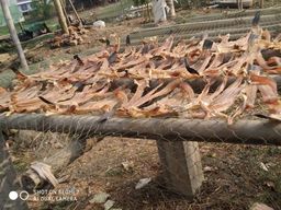 အောင်မြင်စံ_ငါးရံ့ခြောက်မီးကင်