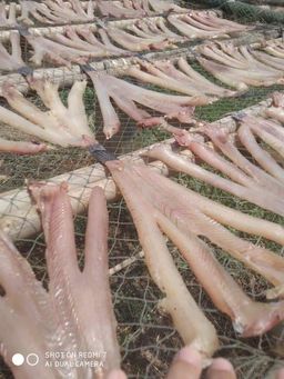 အောင်မြင်စံ_ငါးရံ့ခြောက်မီးကင်