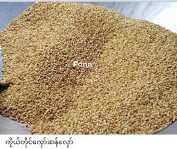 ပန်းခရေ Kitchen_ငါးခူမုန့်ဟင်းခါးအနှစ်ထုတ်