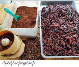 ပန်းခရေ Kitchen_ငါးခူမုန့်ဟင်းခါးအနှစ်ထုတ်