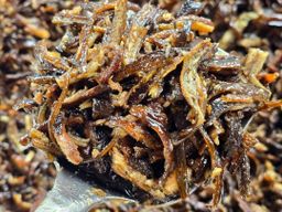 ပန်းခရေ Kitchen_ငါးရှဥ့်စပ်ခြောက်ကြော်