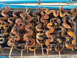 ပန်းခရေ Kitchen_ငါးရှဥ့်စပ်ခြောက်ကြော်