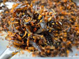 ပန်းခရေ Kitchen_ငါးရှဥ့်စပ်ခြောက်ကြော်