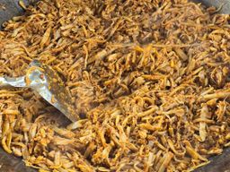 ပန်းခရေ Kitchen_မျှစ်ချဥ်ကြော်