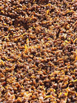 ပန်းခရေ Kitchen_ကသာပဲငါးပိ (ပဲပုပ်)ကြော်