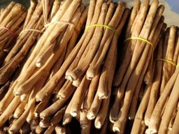 ပန်းခရေ Kitchen_သဘာ၀မှိုဆီကြော်