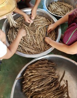 ပန်းခရေ Kitchen_သဘာ၀မှိုဆီကြော်