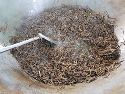 ပန်းခရေ Kitchen_သဘာ၀မှိုဆီကြော်