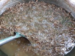 ပန်းခရေ Kitchen_သဘာ၀မှိုဆီကြော်