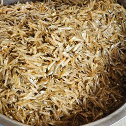 ပန်းခရေ Kitchen_ငါးနီတူခြောက်ကြော်