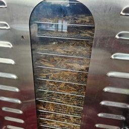 ပန်းခရေ Kitchen_ငါးနီတူခြောက်ကြော်