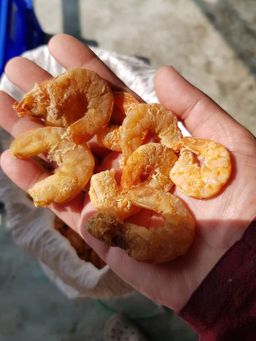 ပန်းခရေ Kitchen_မရမ်းသီးဘာလချောင်ကြော်