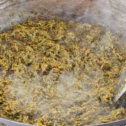 ပန်းခရေ Kitchen_ကင်ပွန်းရွက်ကြော်