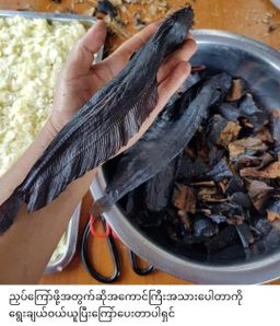 ပန်းခရေ Kitchen_ငါးကျီးကြပ်တိုက်ကြော်