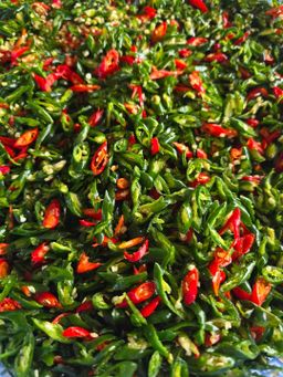 ပန်းခရေ Kitchen_အသင့်စား ငပိရည်ကျို Collection