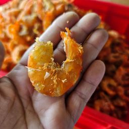 ပန်းခရေ Kitchen_ပုစွန်ခြောက် Collection