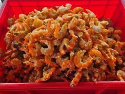 ပန်းခရေ Kitchen_ပုစွန်ခြောက် Collection