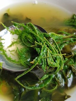 ပန်းခရေ Kitchen_အသင့်ချက် ဟင်းအရည်သောက် (တစ်ပွဲစာ) Collection