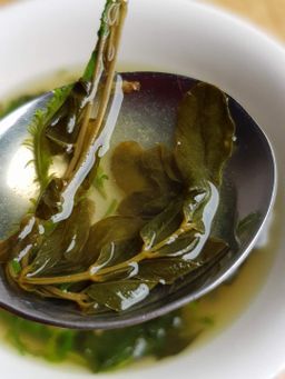 ပန်းခရေ Kitchen_အသင့်ချက် ဟင်းအရည်သောက် (တစ်ပွဲစာ) Collection