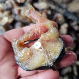 ပန်းခရေ Kitchen_ငါးခူငပိကောင်ကြော်