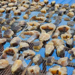 ပန်းခရေ Kitchen_ငါးခူငပိကောင်ကြော်