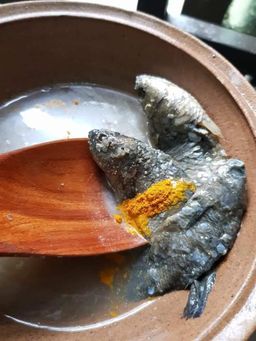 ပန်းခရေ Kitchen_ငပိရေကျို Collection