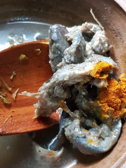 ပန်းခရေ Kitchen_ငပိရေကျို Collection