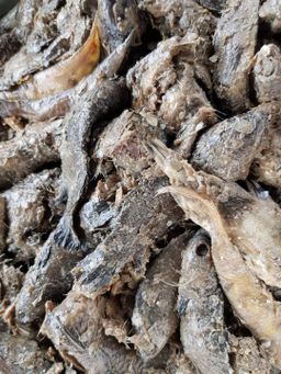 ပန်းခရေ Kitchen_ငပိရေကျို Collection