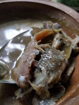 ပန်းခရေ Kitchen_ငပိရေကျို Collection