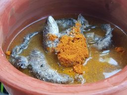 ပန်းခရေ Kitchen_ငပိရေကျို Collection