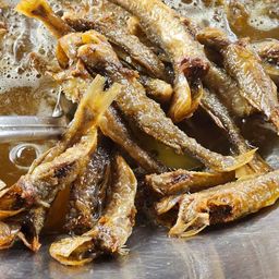 ပန်းခရေ Kitchen_ရေချိုငါးကြော် Collection