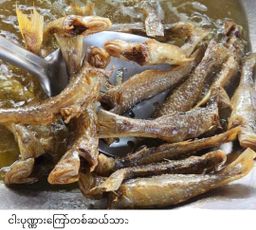 ပန်းခရေ Kitchen_ရေချိုငါးကြော် Collection