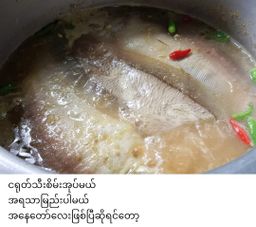 ပန်းခရေ Kitchen_ငါးဆန်လှော်ရေချိုအနှစ်