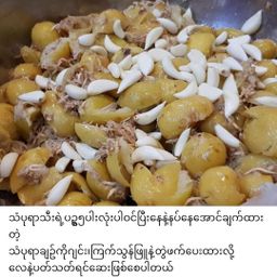 ပန်းခရေ Kitchen_သရက်သီး / သံပုရာသီး သနပ် Collection