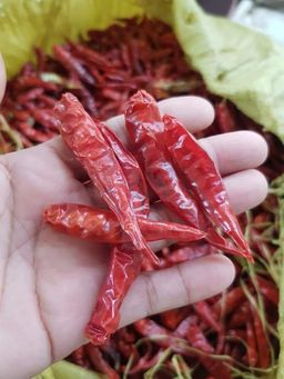 ပန်းခရေ Kitchen_ငရုတ်သီးခြောက် Collection