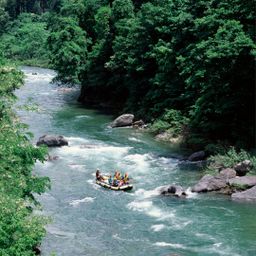 Rafting Ubud River 