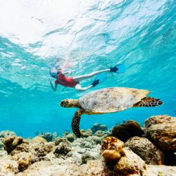 Scuba Diving Blue Lagoon (Karangasem)
