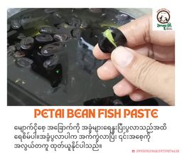 ရွှေအောက်ချင်း_မျောက်ငိုသီး