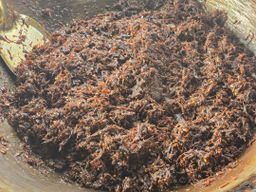 မယ်ပန်း_ငါးလိပ်ကျောက်ကြော်