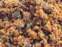 မယ်ပန်း_ငါးကျီးကြပ်တိုက်ကြော်