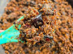 မယ်ပန်း_ငါးကျီးကြပ်တိုက်ကြော်