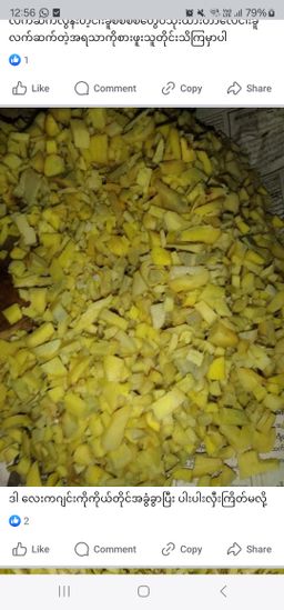 အကယ်ဒမီ_ငါးခူမုန့်ဟင်းခါးအနှစ်ထုတ်